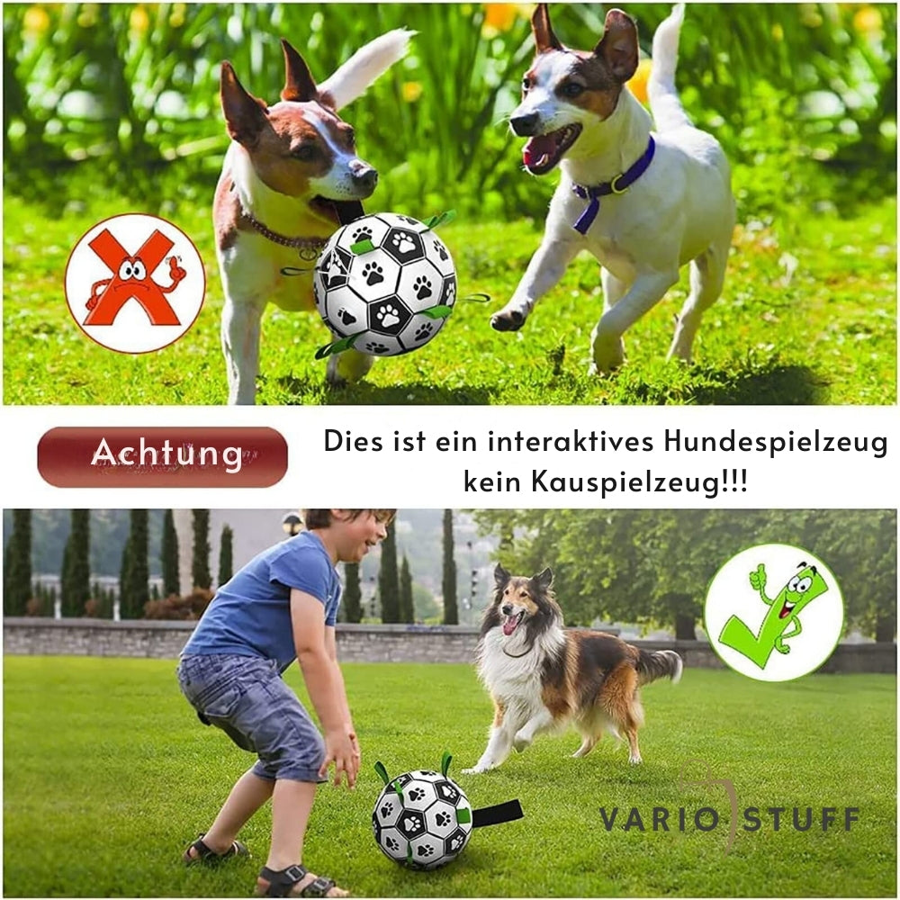 Variostuff - DogPlayBall