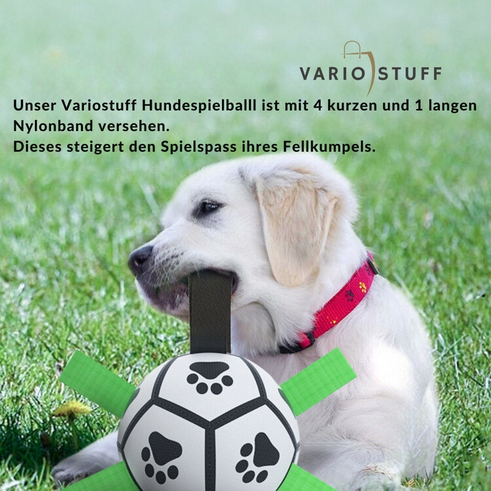 Variostuff - DogPlayBall